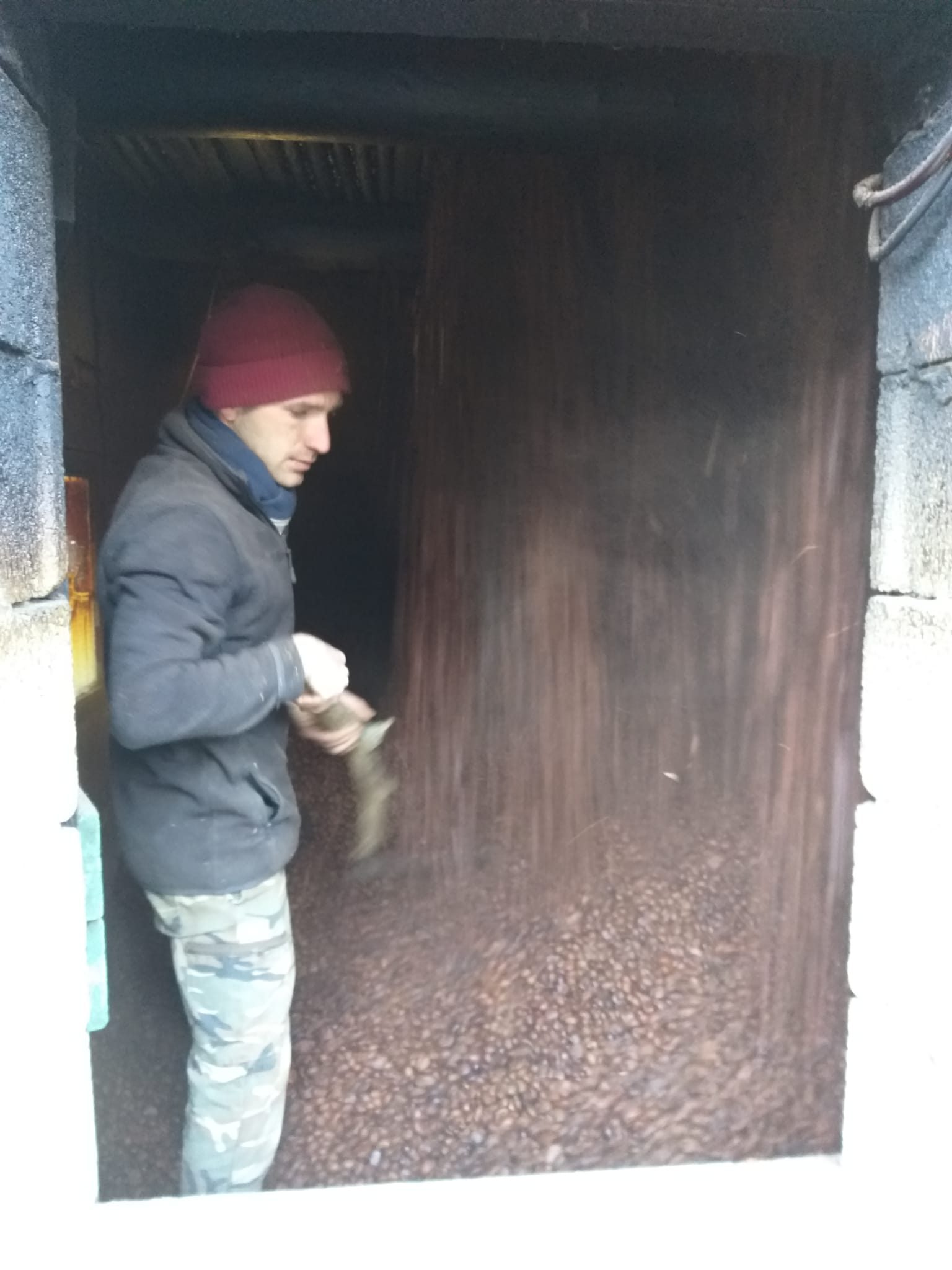 Lavoro nel bosco