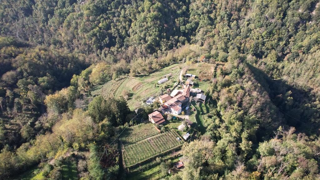 Das Tal der Svizzera Pesciatina im Sommer