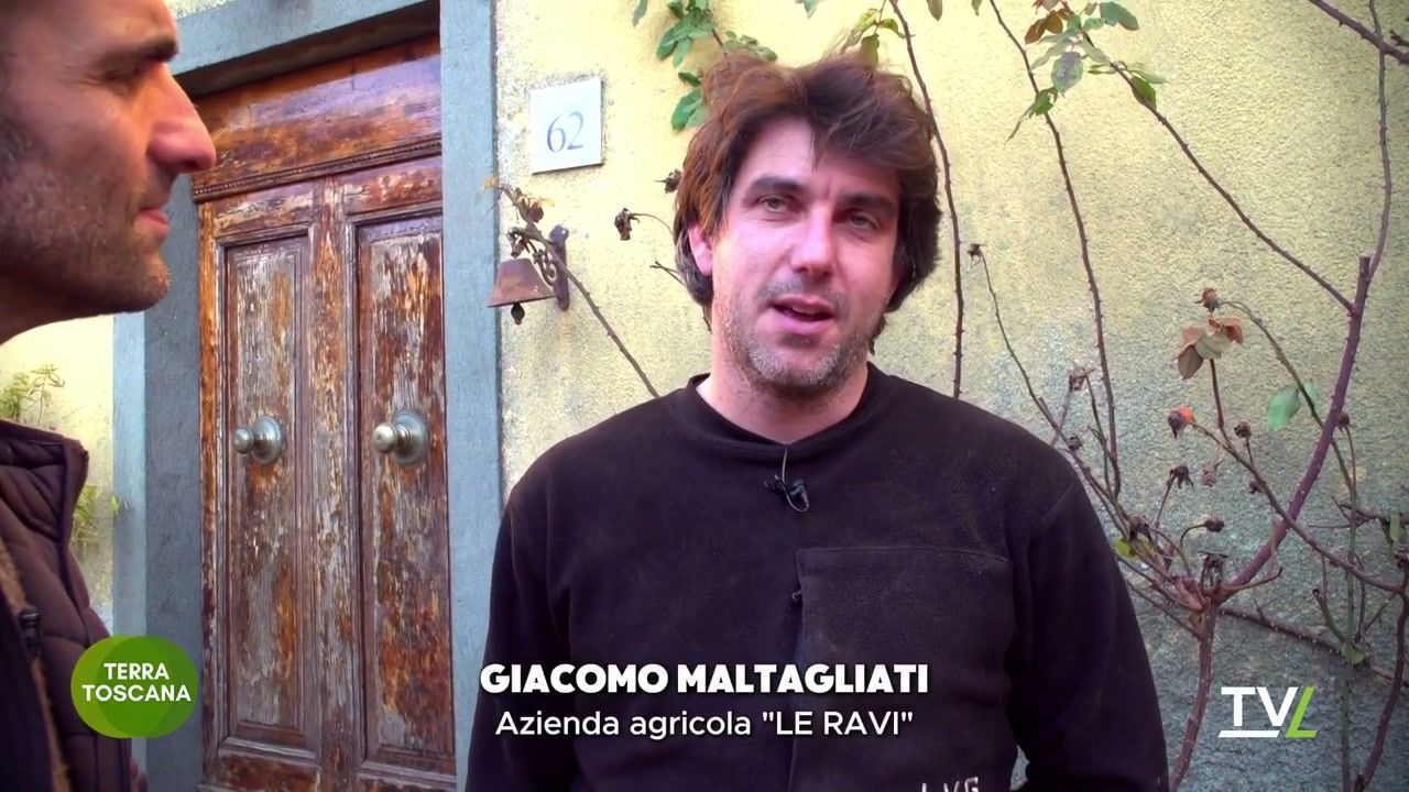 Giacomo Maltagliati im Interview mit TVL Terra Toscana